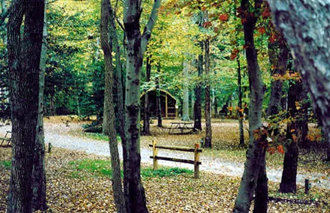 Fredericksburg / Washington DC South KOA Holiday Picture 5