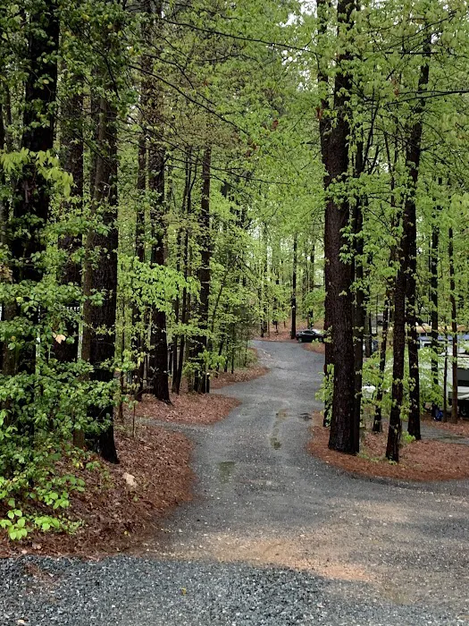 Aquia Pines Camp Resort Picture 9