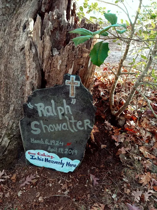 Glebe Point Campground Picture 3