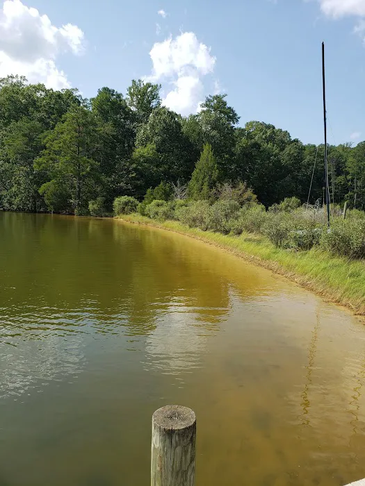 Glebe Point Campground Picture 2