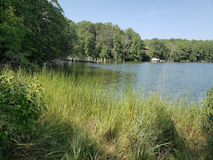 Glebe Point Campground Picture 5