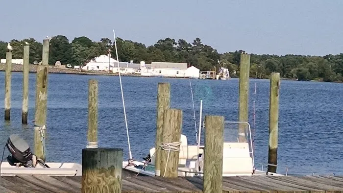 Chesapeake Bay Camp Ground Picture 2