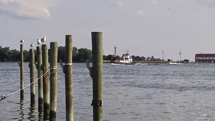 Chesapeake Bay Camp Ground Picture 6