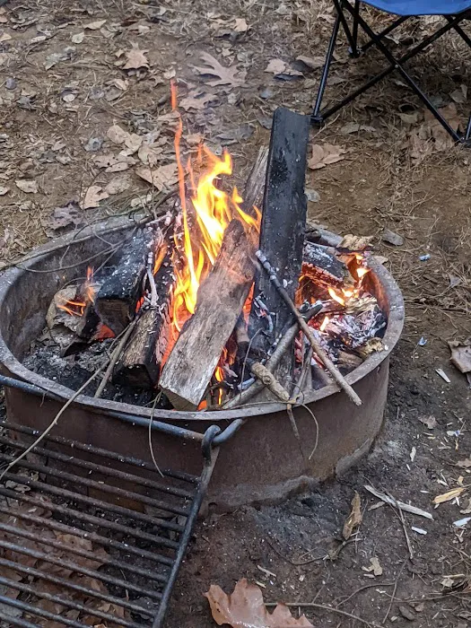 Rohrbach Group Campground Picture 3