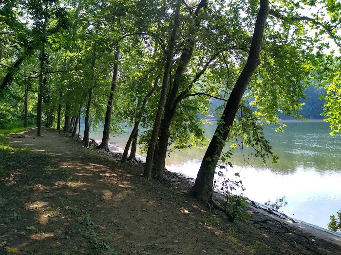 Killiansburg Cave Campsite Picture 9