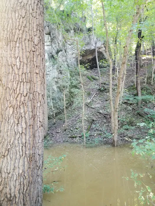 Killiansburg Cave Campsite Picture 5