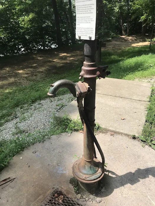 Huckleberry Hill Hiker Biker Campsite Picture 1