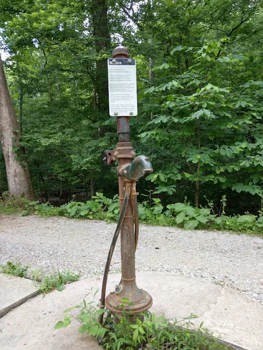 Huckleberry Hill Hiker Biker Campsite Picture 10
