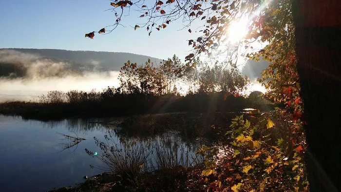 Harpers Ferry Campground Picture 5