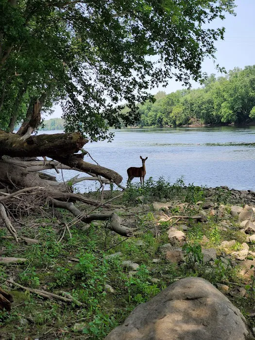 Big Woods Campsite Picture 10