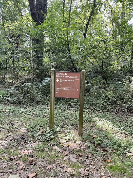 Big Woods Campsite Picture 3