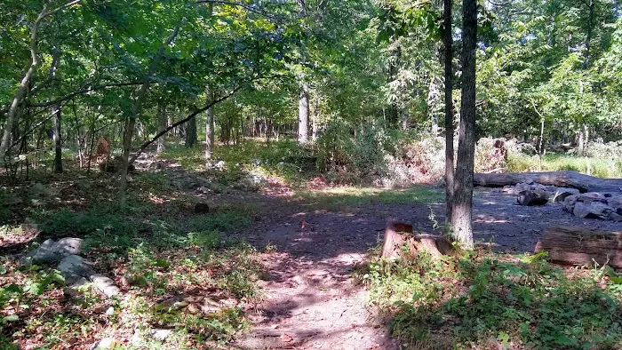 AT Campsite Picture 8