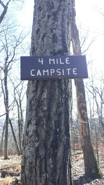 AT Campsite Picture 1