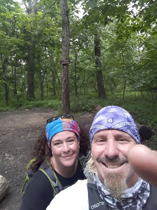 AT Campsite Picture 5