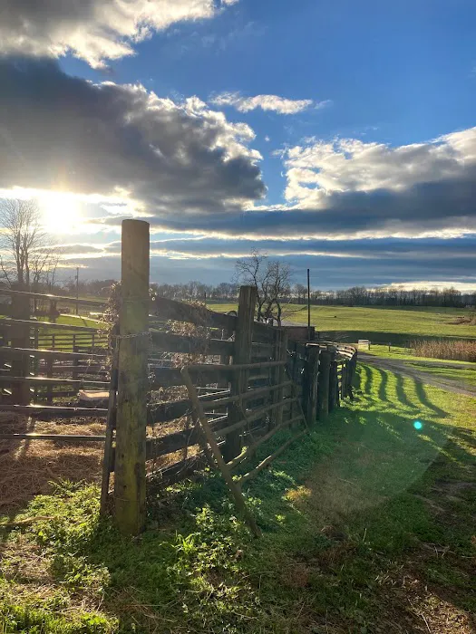 Greenville Farm Family Campground, Inc. Picture 3