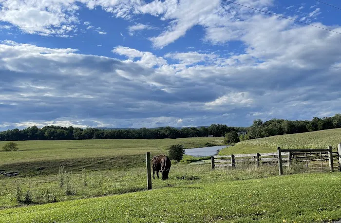 Greenville Farm Family Campground, Inc. Picture 4