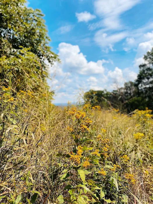 Blue Ridge Regional Park Picture 4