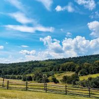 Blue Ridge Regional Park ico