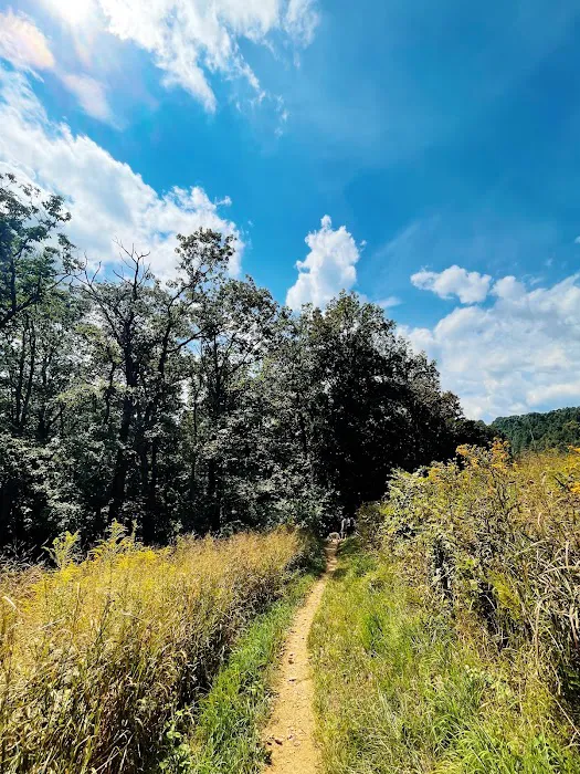 Blue Ridge Regional Park Picture 8