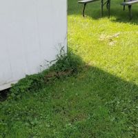 Leisurewood Recreational Community ico