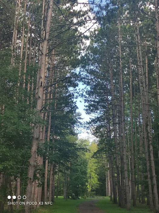 Spruce & Sparrow Picture 9