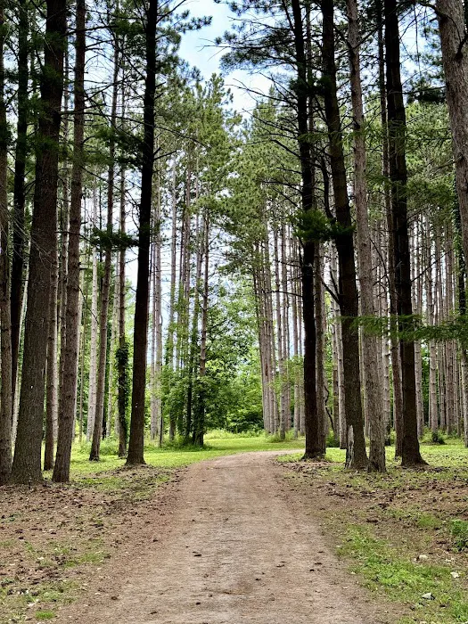 Spruce & Sparrow Picture 8