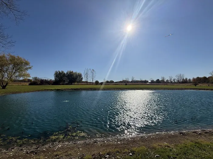 Spruce & Sparrow Picture 1