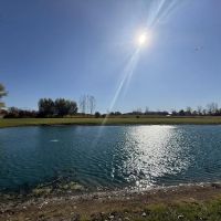 Spruce & Sparrow ico