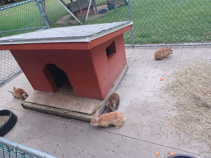 Niagara County Camping Resort Picture 4