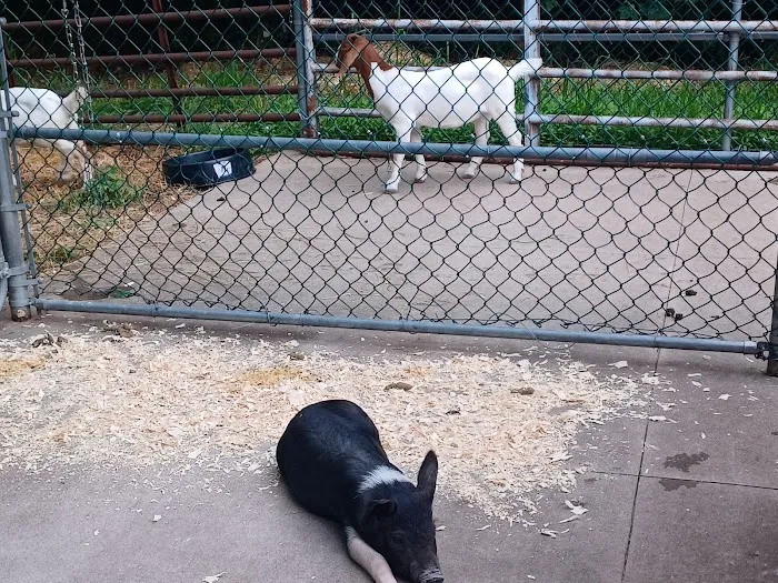 Niagara County Camping Resort Picture 5