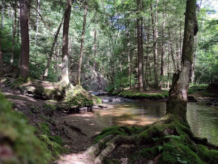 Minister Creek Campground Picture 5