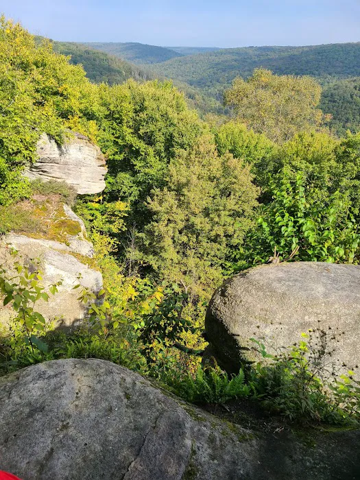 Minister Creek Campground Picture 3