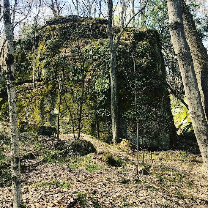 Minister Creek Campground Picture 2