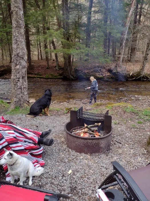 Minister Creek Campground Picture 6