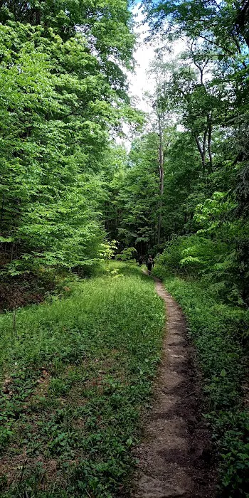 Minister Creek Campground Picture 4