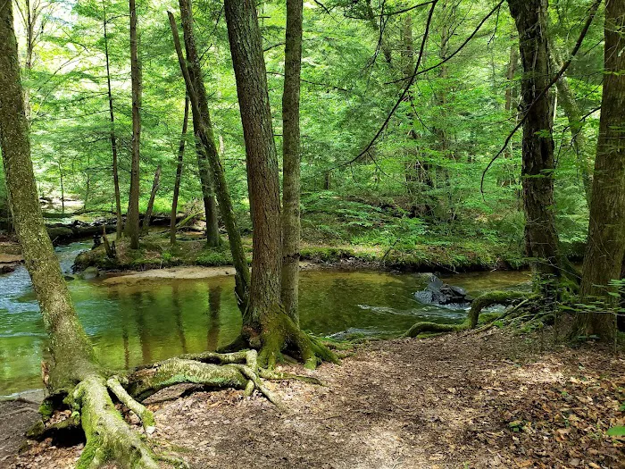 Minister Creek Campground Picture 8