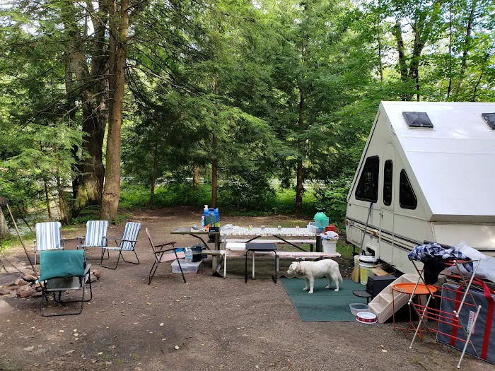 Minister Creek Campground Picture 1