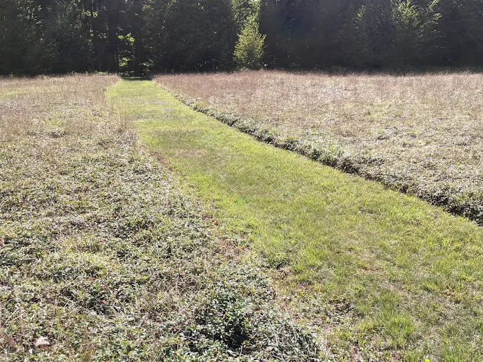 Hearts Content Campground Picture 5