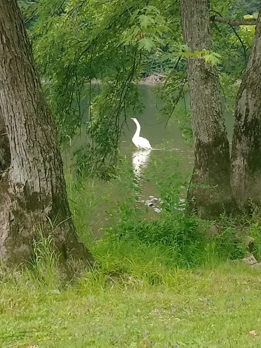 Riverview Campground Picture 4