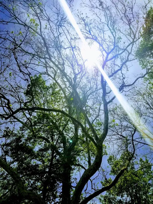 Riverview Campground Picture 1