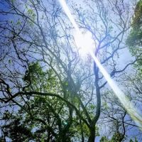 Riverview Campground ico