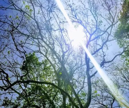 Riverview Campground