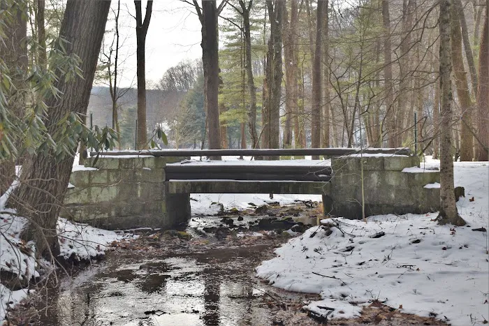 Clear Creek State Park Family Cabin District Picture 6