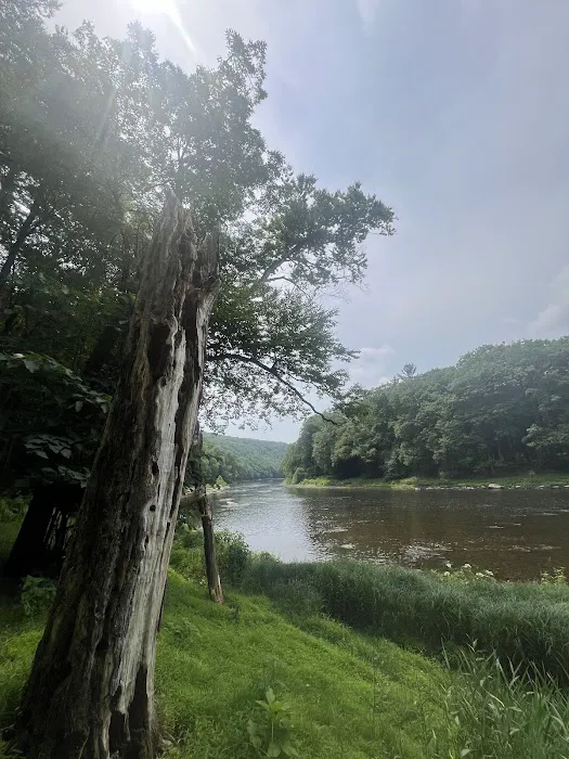 Clear Creek State Park Family Cabin District Picture 4