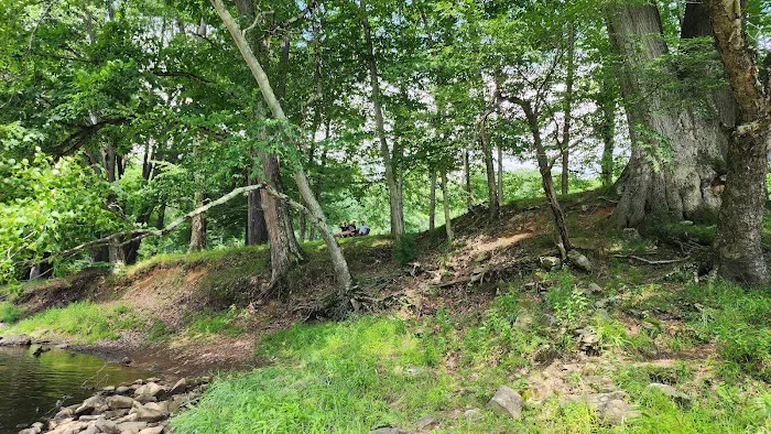 Clear Creek State Park Family Cabin District Picture 2