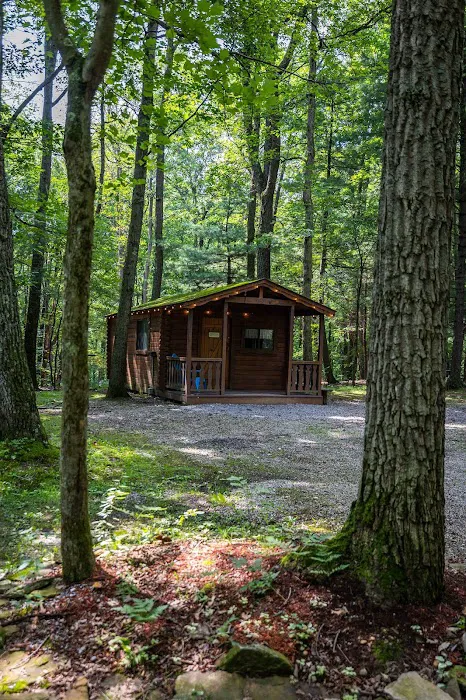 Campers Paradise Picture 6