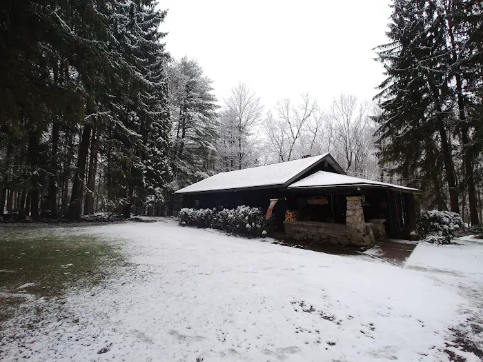 northwoods cottage Picture 4