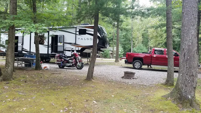 northwoods cottage Picture 1