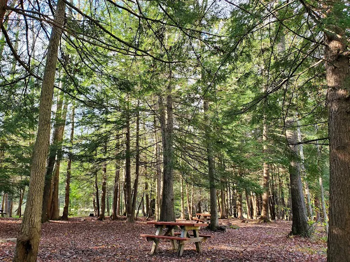 White's Haven Campground Picture 4