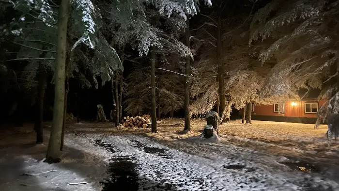 Colors of the Forest RV Resort and Campground Picture 5